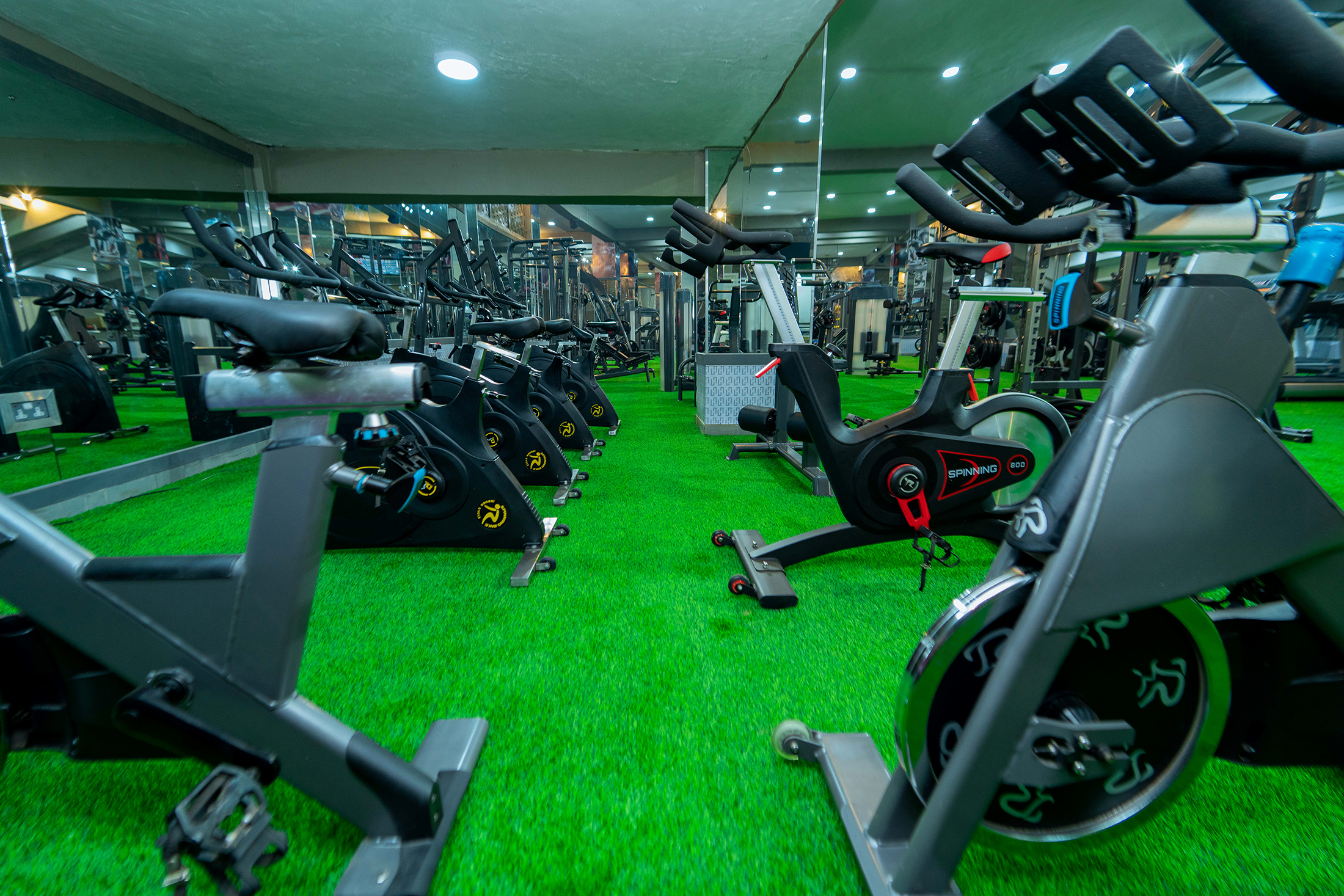 Gymnasium